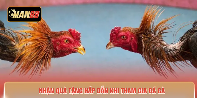 Nhận quà tặng hấp dẫn khi tham gia đá gà